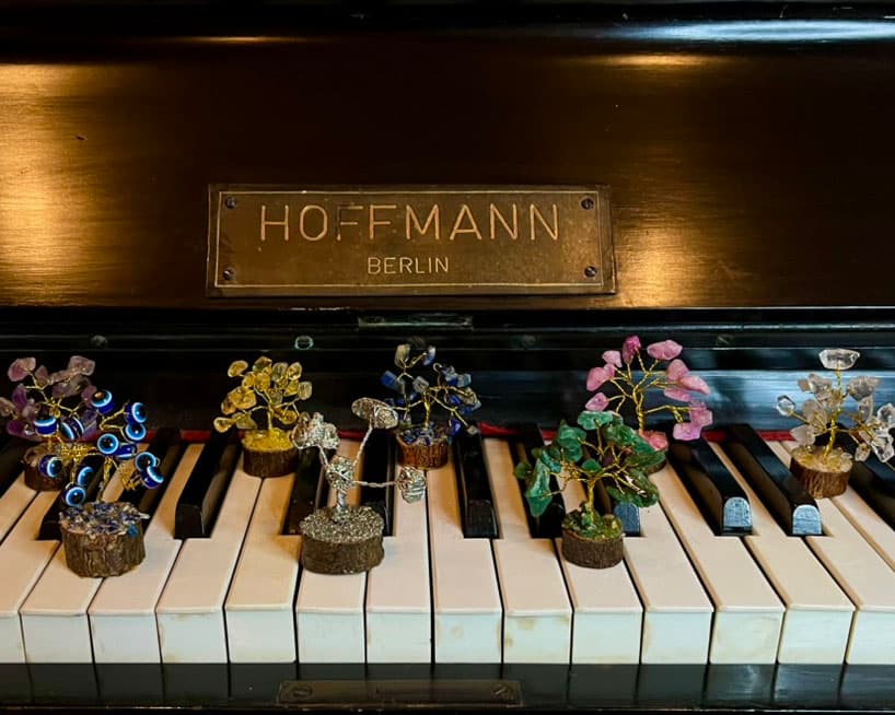 Rooted in intention, branching out with positive energy.